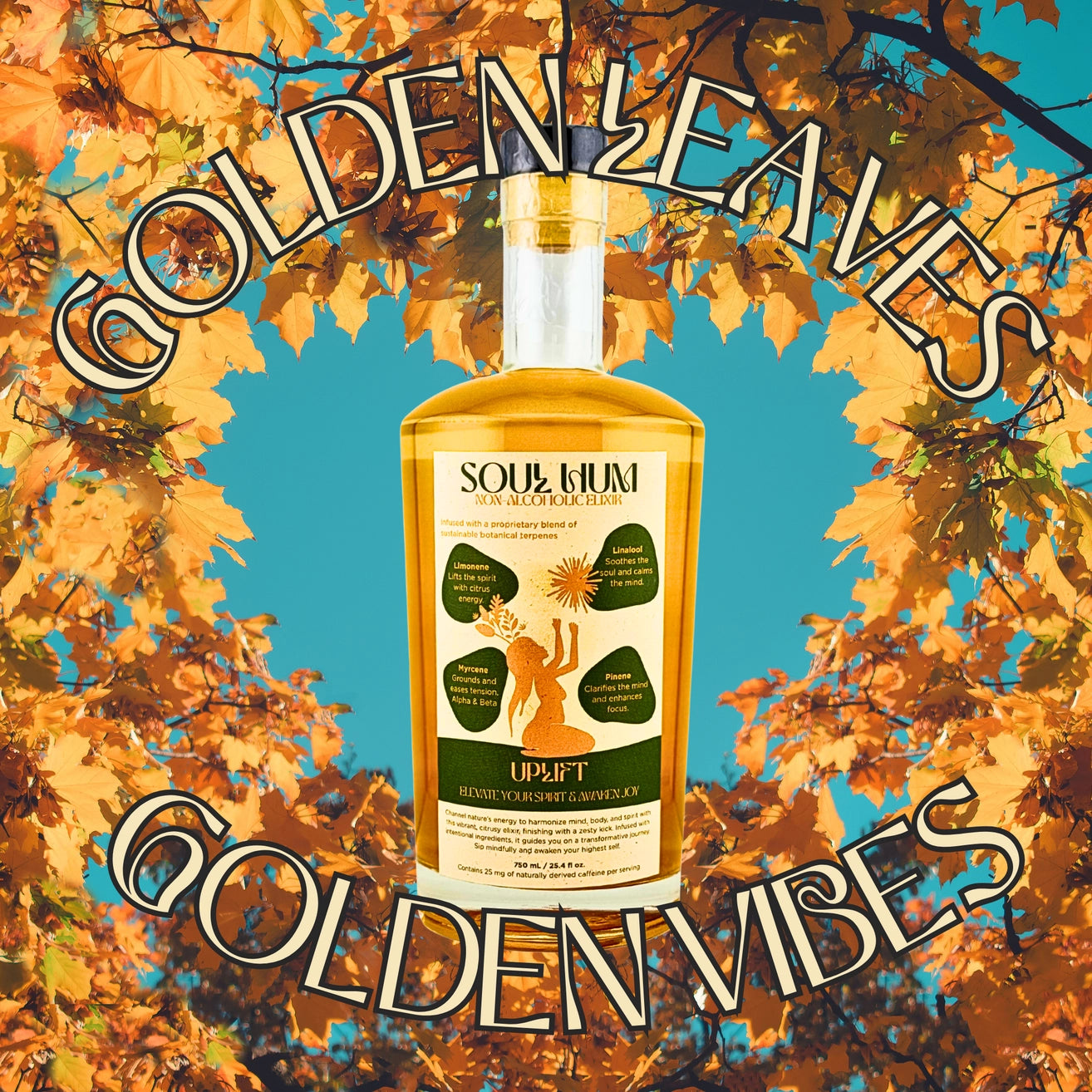 Soul Hum Non alcoholic drink elixir