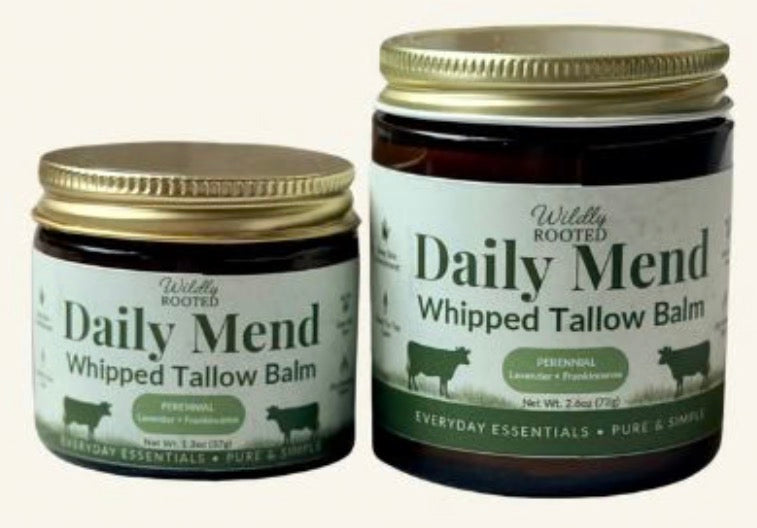 Daily Mend Whipped Tallow Balm | Wildly Rooted