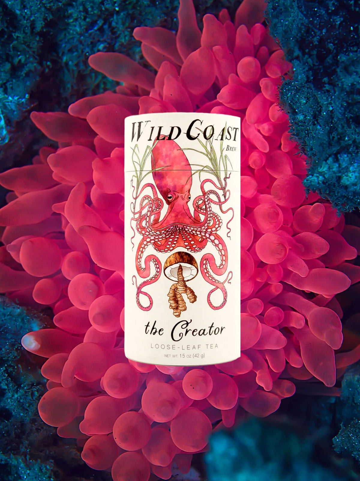 Wild Coast Brew | Loose Leaf Tea Packages