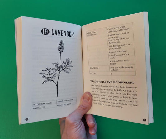 Everyday Herbal Teamaking: A Pocket Guide For Health, Fun & Self-Care | Paperback