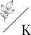 Kindred Vancouver Logo Mark