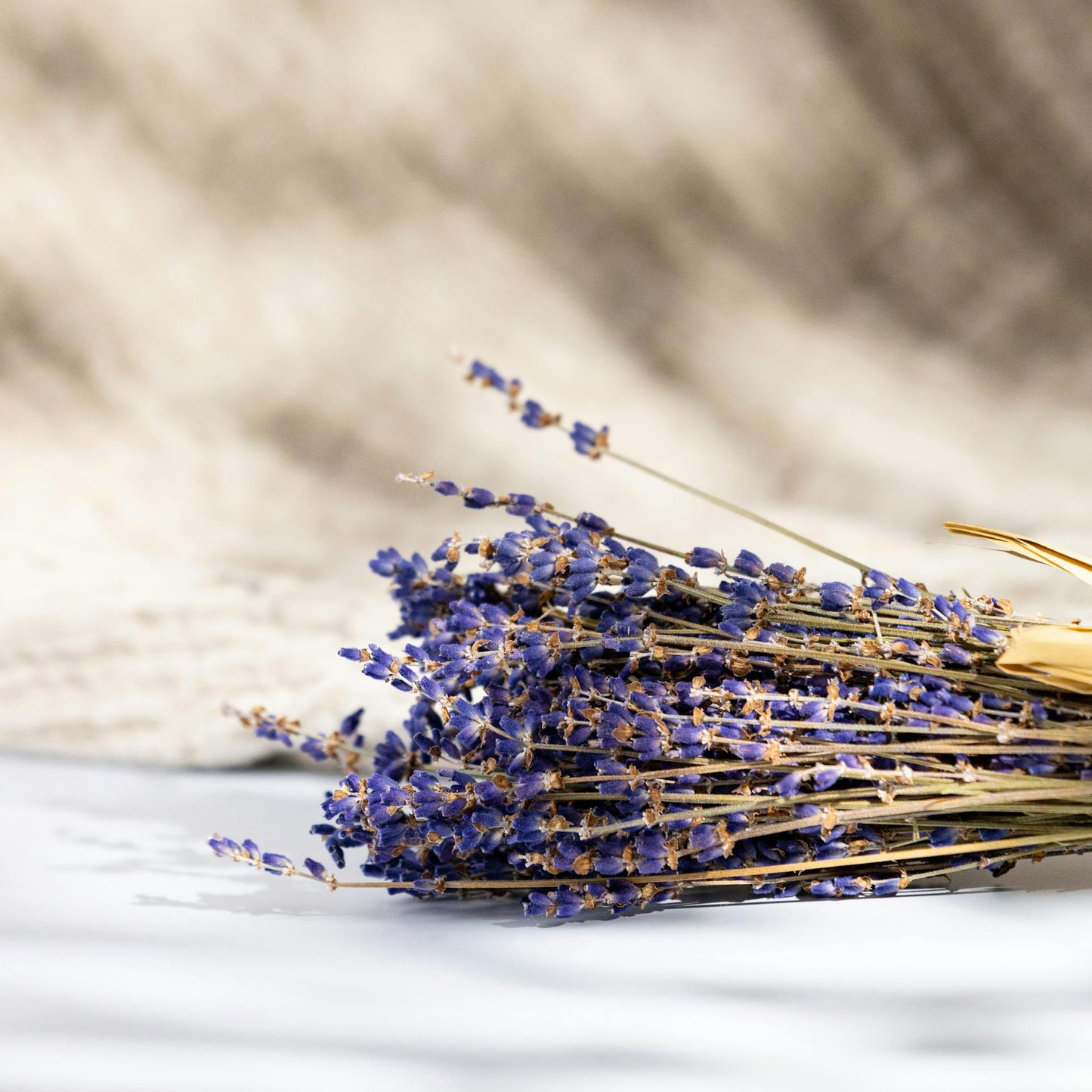 Bouquet of dried lavender on a textured surface with a blurred background