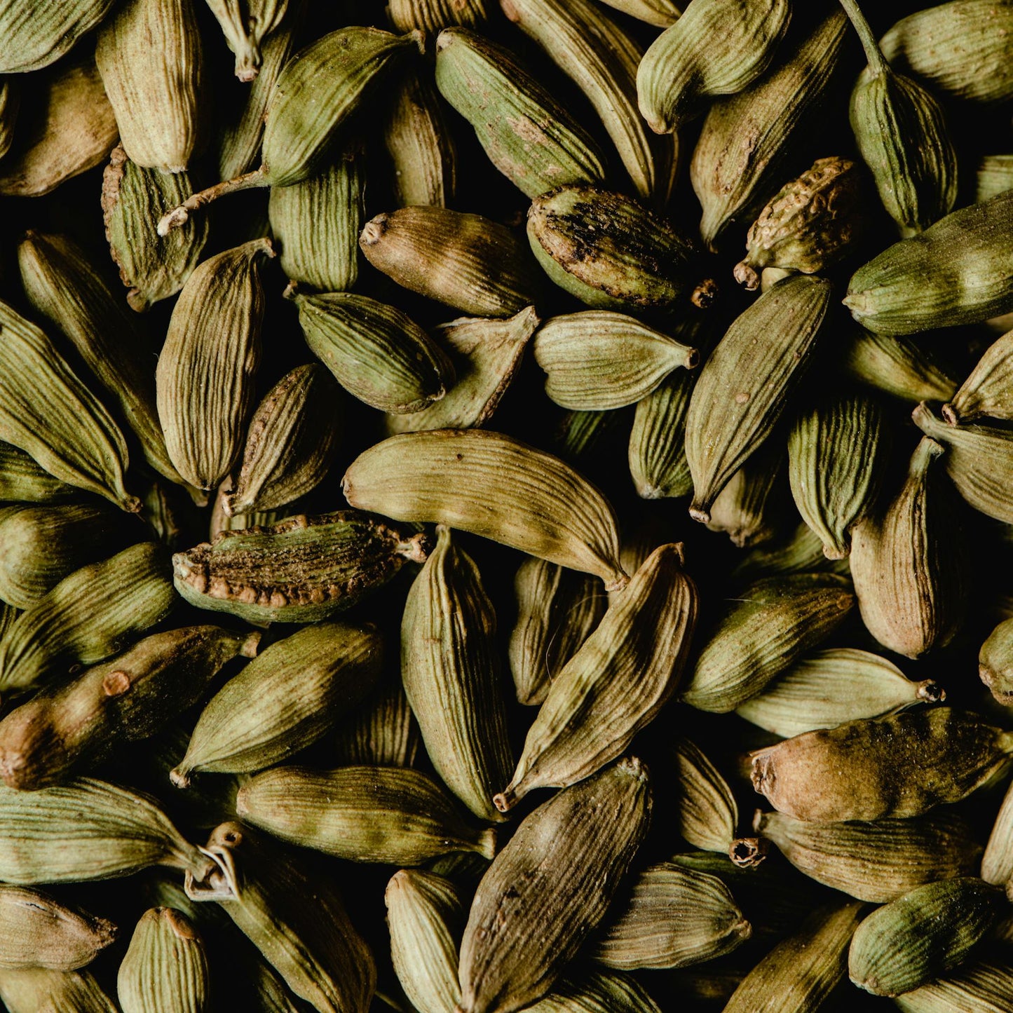 Cardamom Seed | Organic