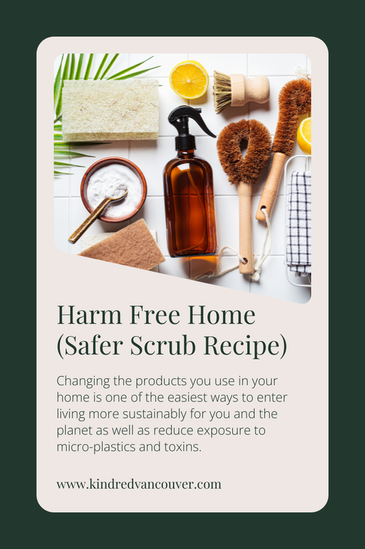 Harm Free Home (Safer Scrubber Recipe)