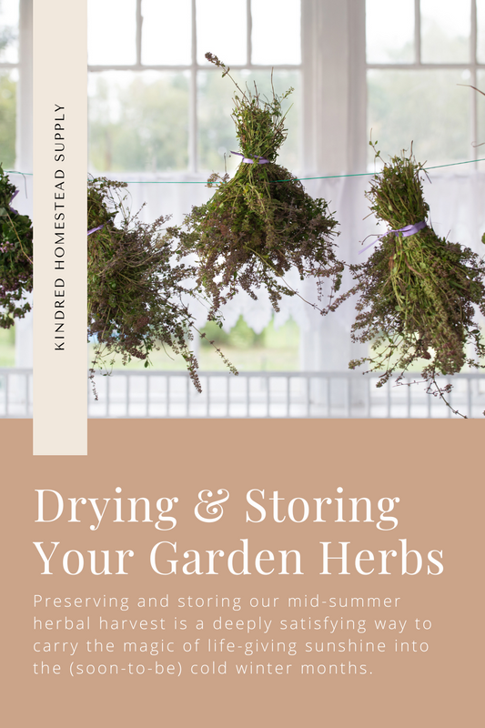 blog post on drying and storing fresh herbs