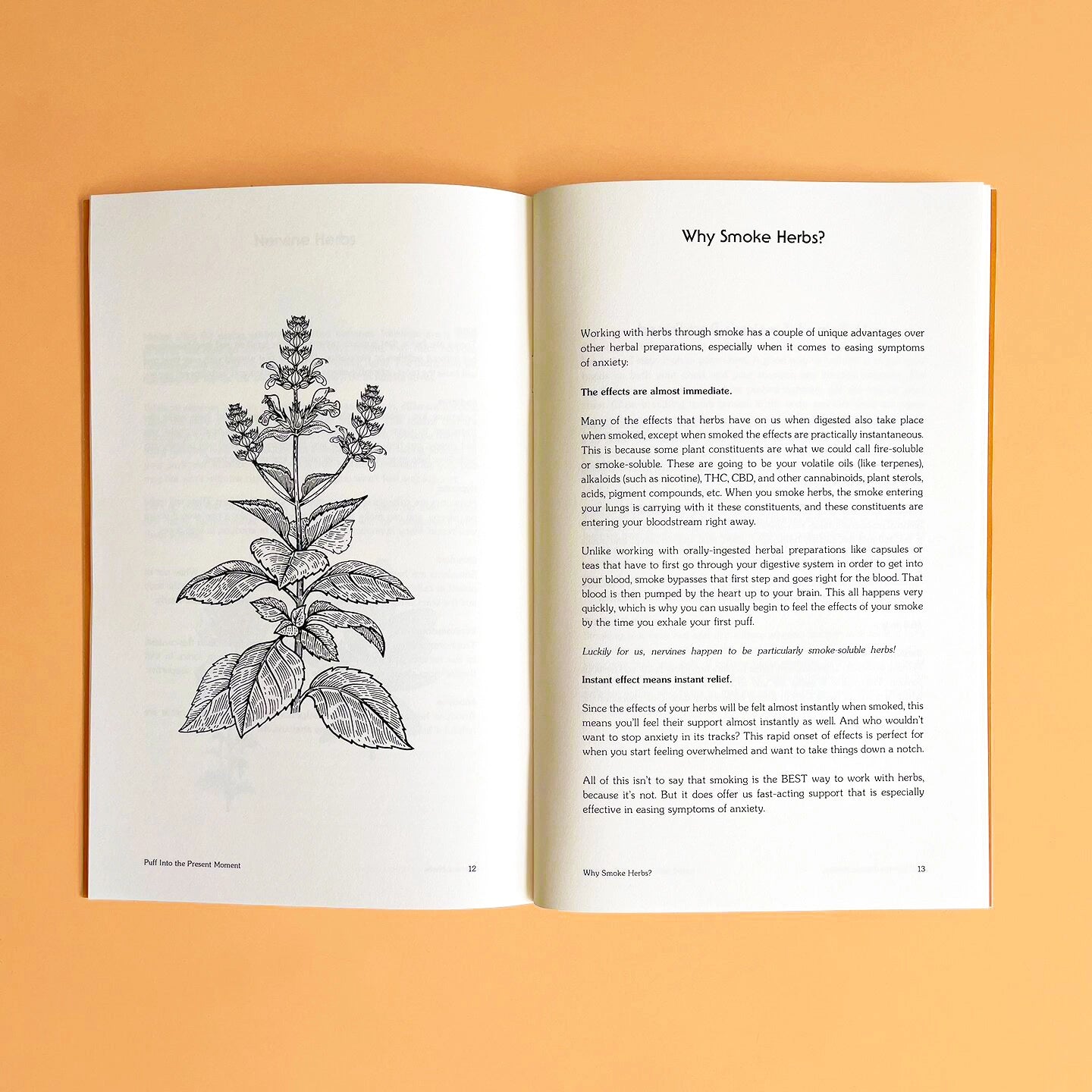 Puff into the Present Moment: Herbal Smoking Zine