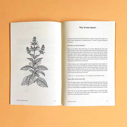 Puff into the Present Moment: Herbal Smoking Zine