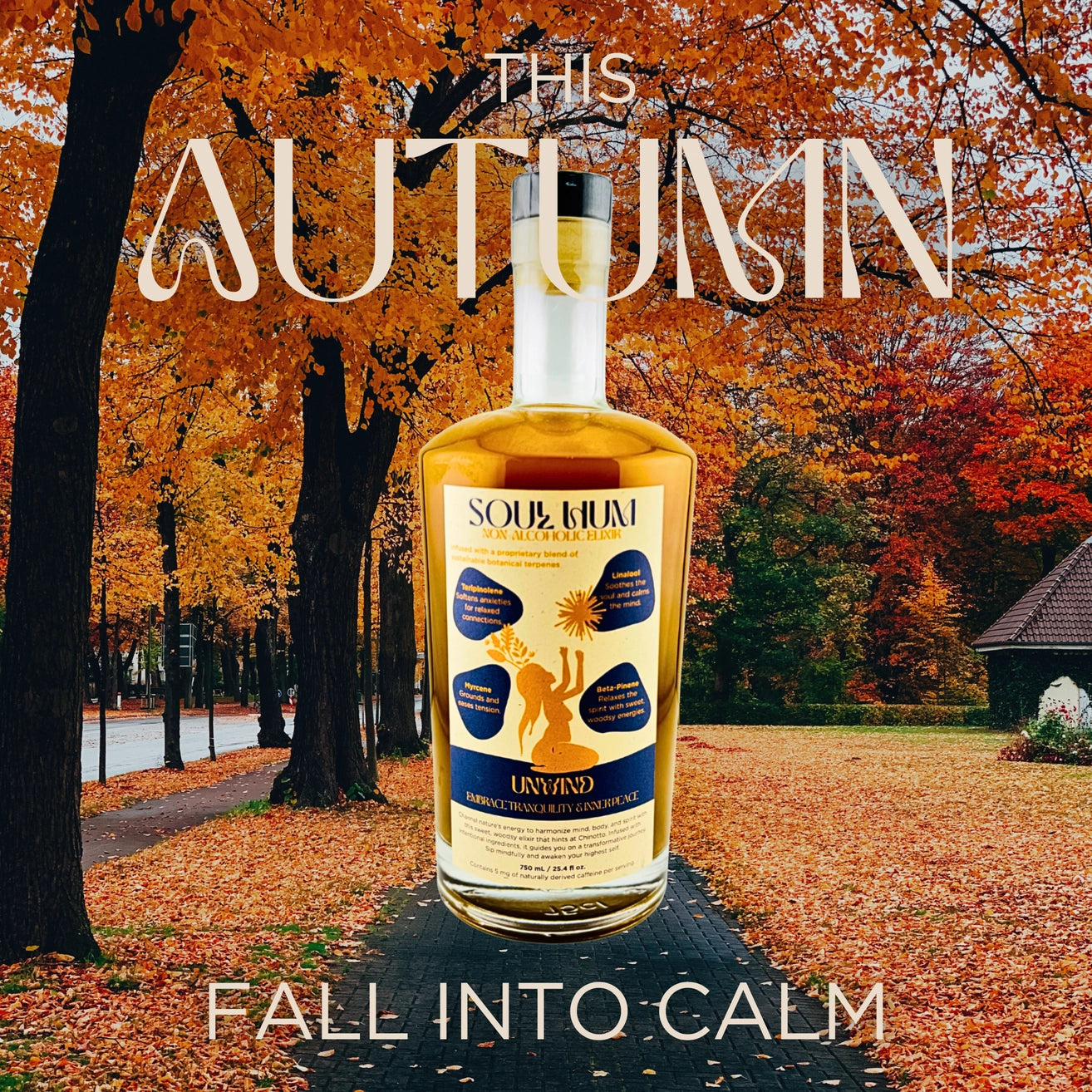 Soul Hum Non alcoholic adaptogen drink elixir 