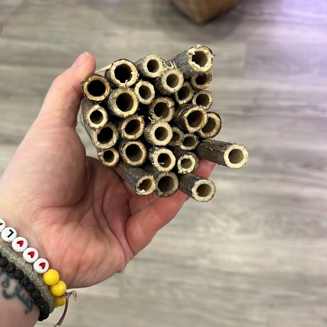 Dave's Bees | Native Mason Bees