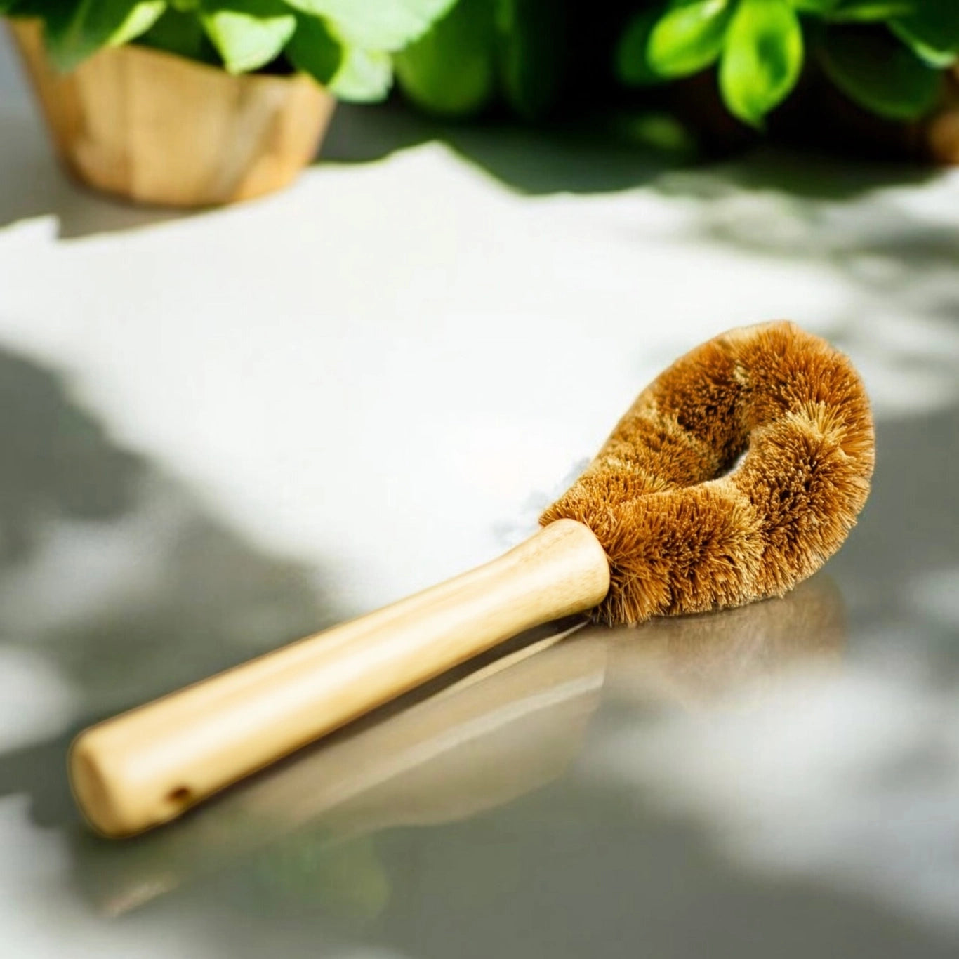 Coconut Bottle Cleaning Brush