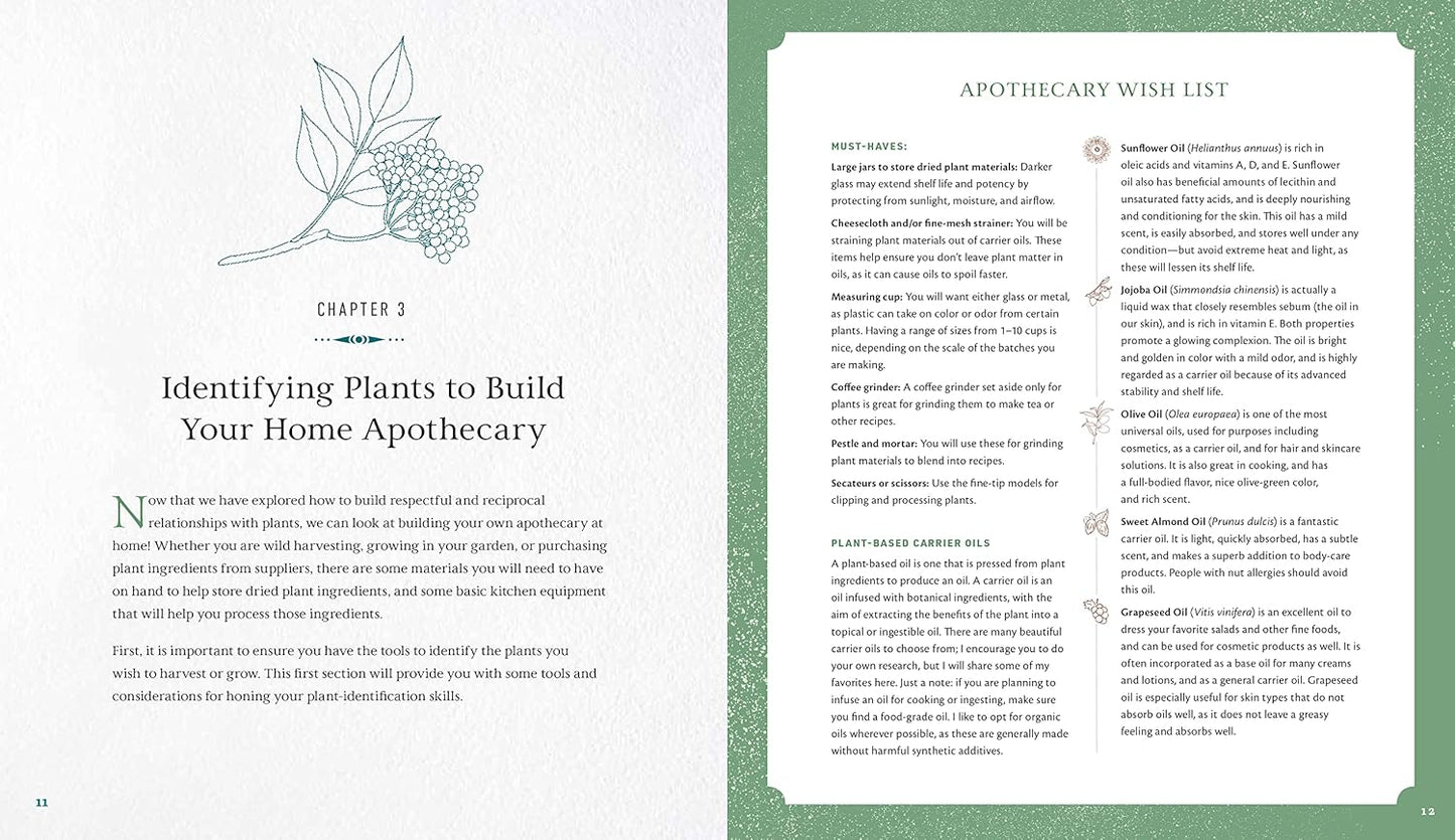 Open book showing a chapter on identifying plants for a home apothecary with text and illustrations.