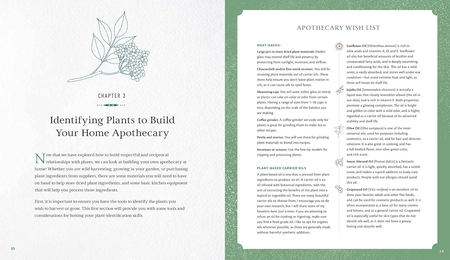 Open book showing a chapter on identifying plants for a home apothecary with text and illustrations.