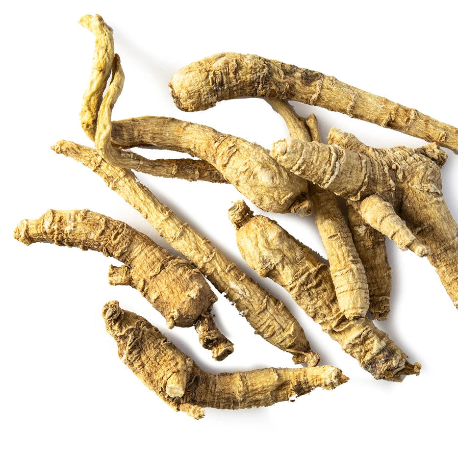 Dried ginseng roots on a white background