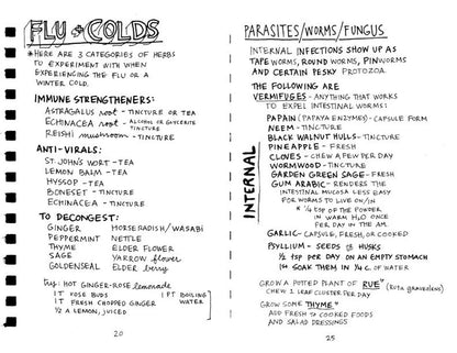 Healing Your Magical Body With Plants + Minerals | Zine