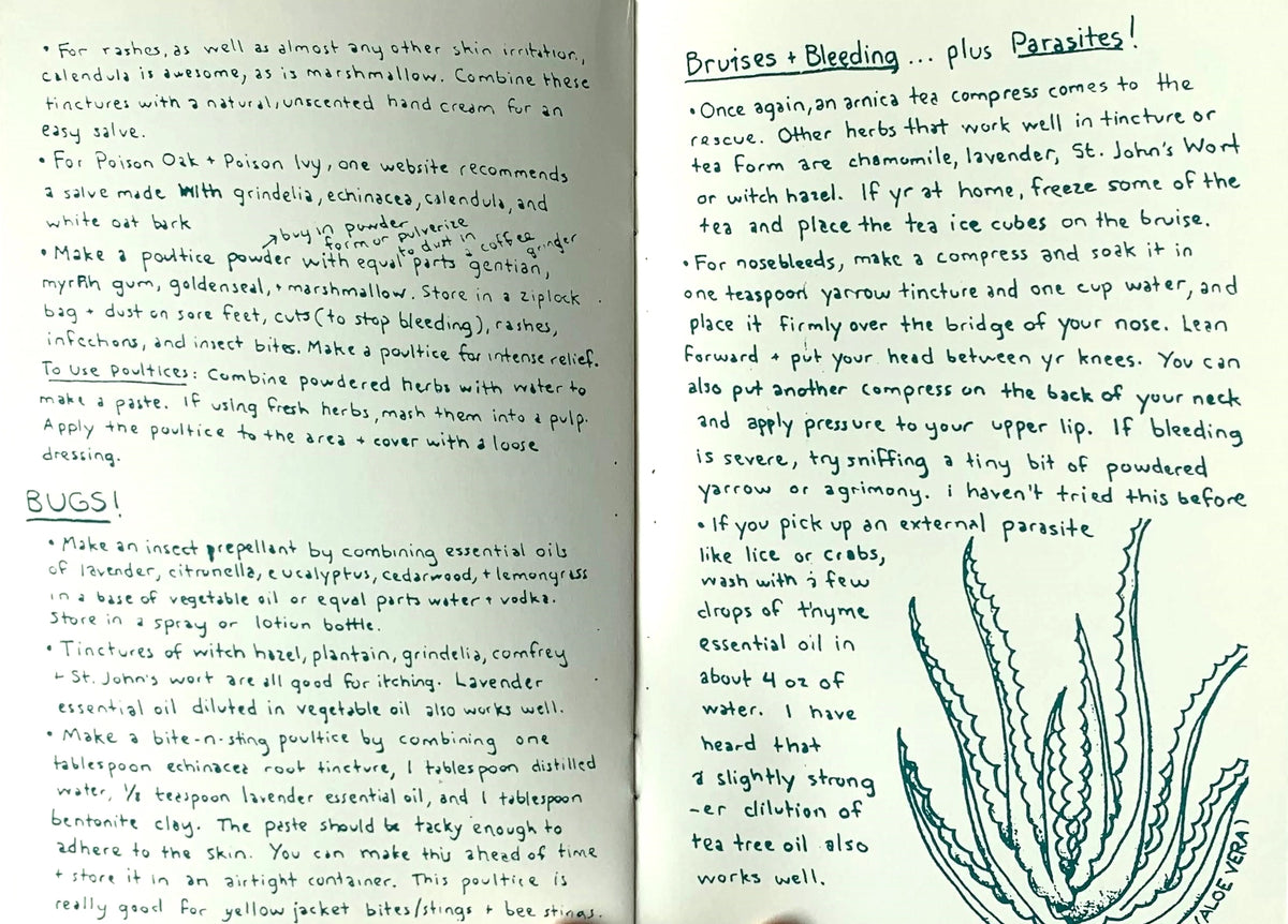 Herbal First Aid: Assembling A Natural First Aid Kit | Zine
