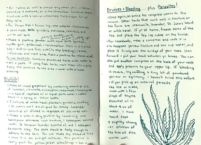 Herbal First Aid: Assembling A Natural First Aid Kit | Zine