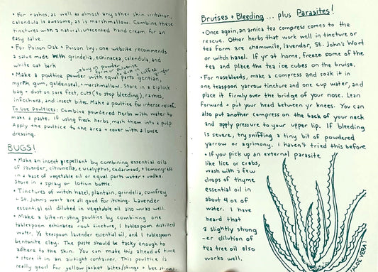 Herbal First Aid: Assembling A Natural First Aid Kit | Zine
