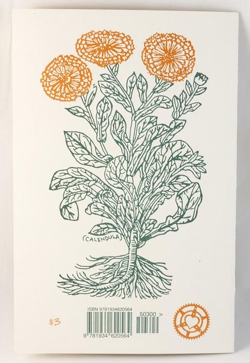 Herbal First Aid: Assembling A Natural First Aid Kit | Zine