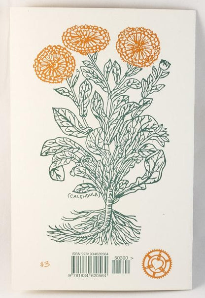 Herbal First Aid: Assembling A Natural First Aid Kit | Zine