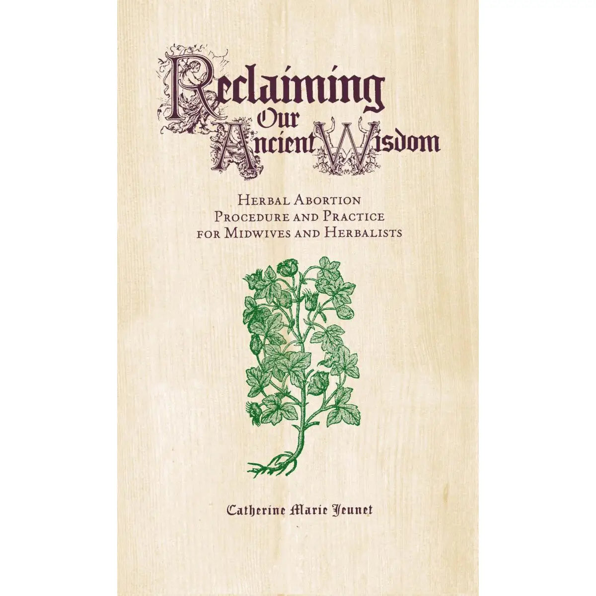 Reclaiming Our Ancient Wisdom | Zine