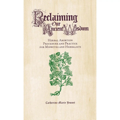 Reclaiming Our Ancient Wisdom | Zine