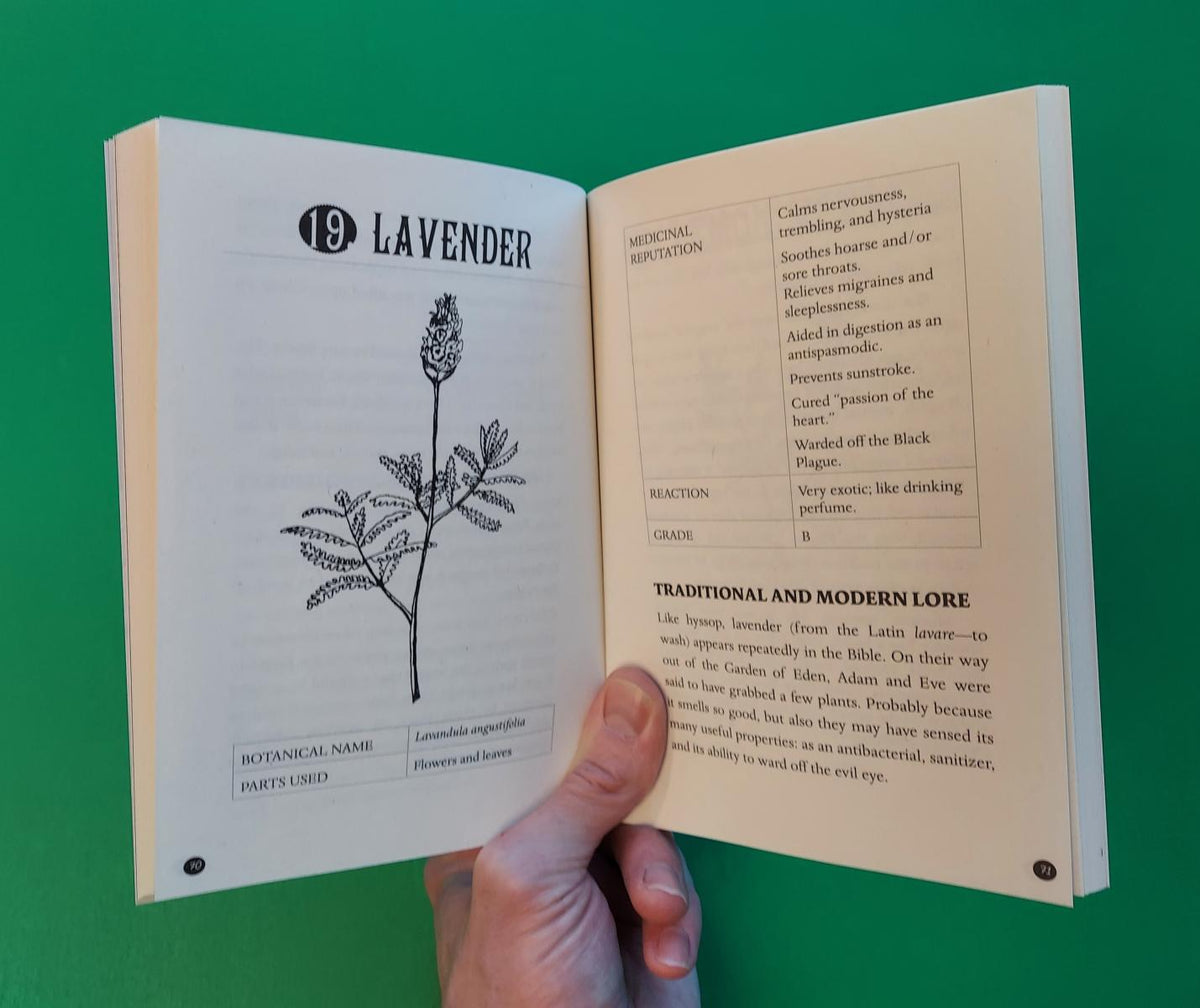 Everyday Herbal Teamaking: A Pocket Guide For Health, Fun & Self-Care | Paperback