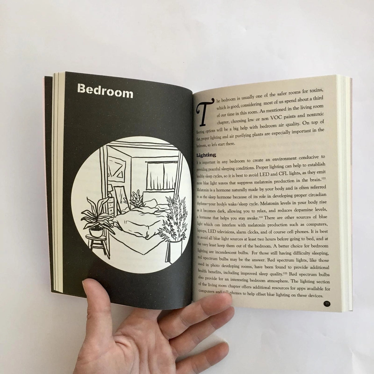 Detox Your Place: Room By Room Remedies For Nontoxic Living | Paperback