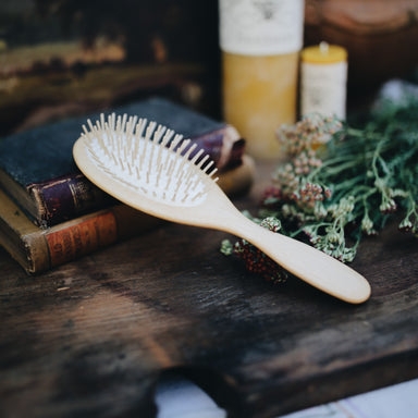 Plastic Free Hairbrushes