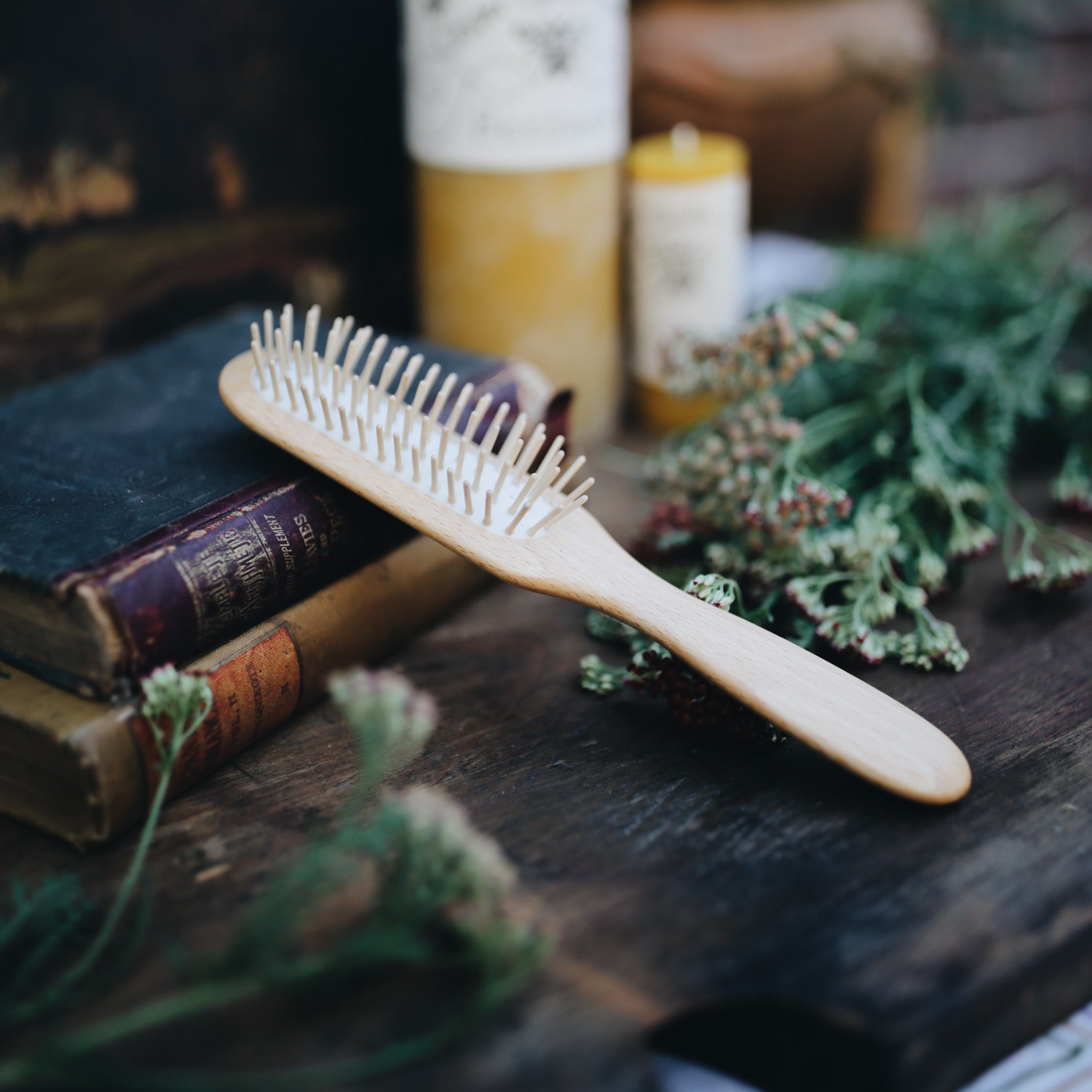 Plastic Free Hairbrushes