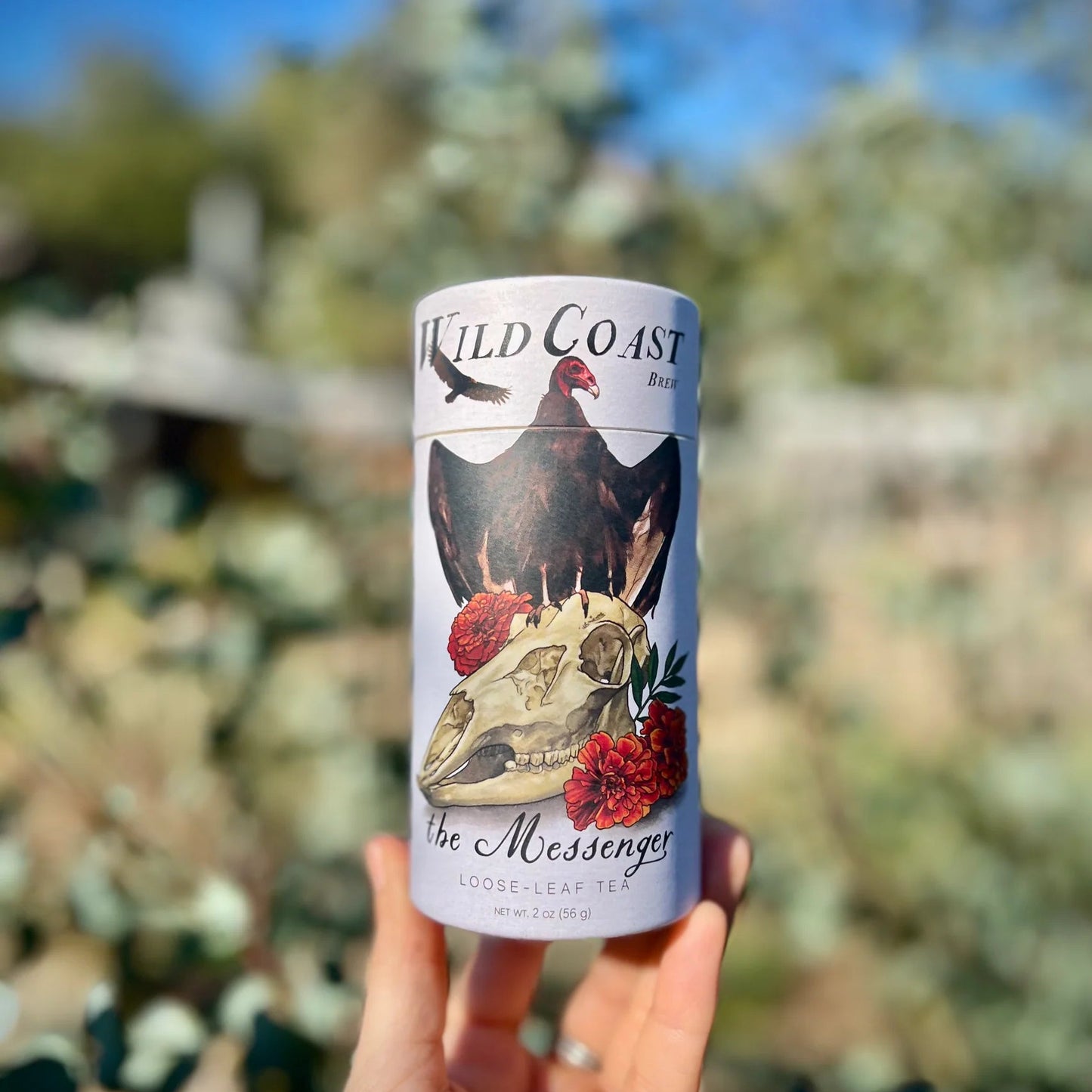Hand holding a can of Wild Coast The Messenger Nootka Rose Tea against a blurred natural background