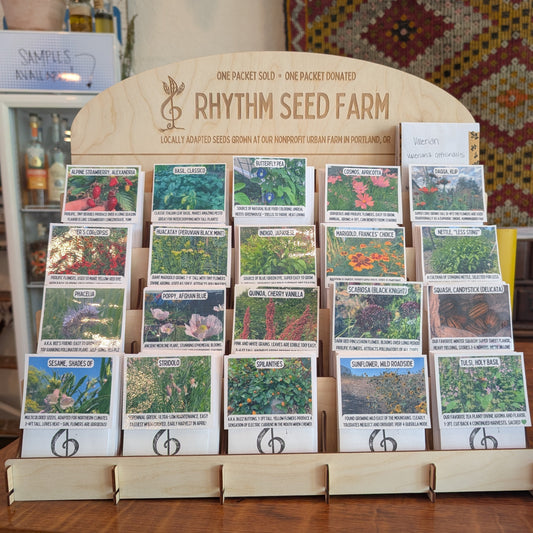 A display of various seed packets at Rythym Seed Farm, showcasing an array of plants and flowers.
