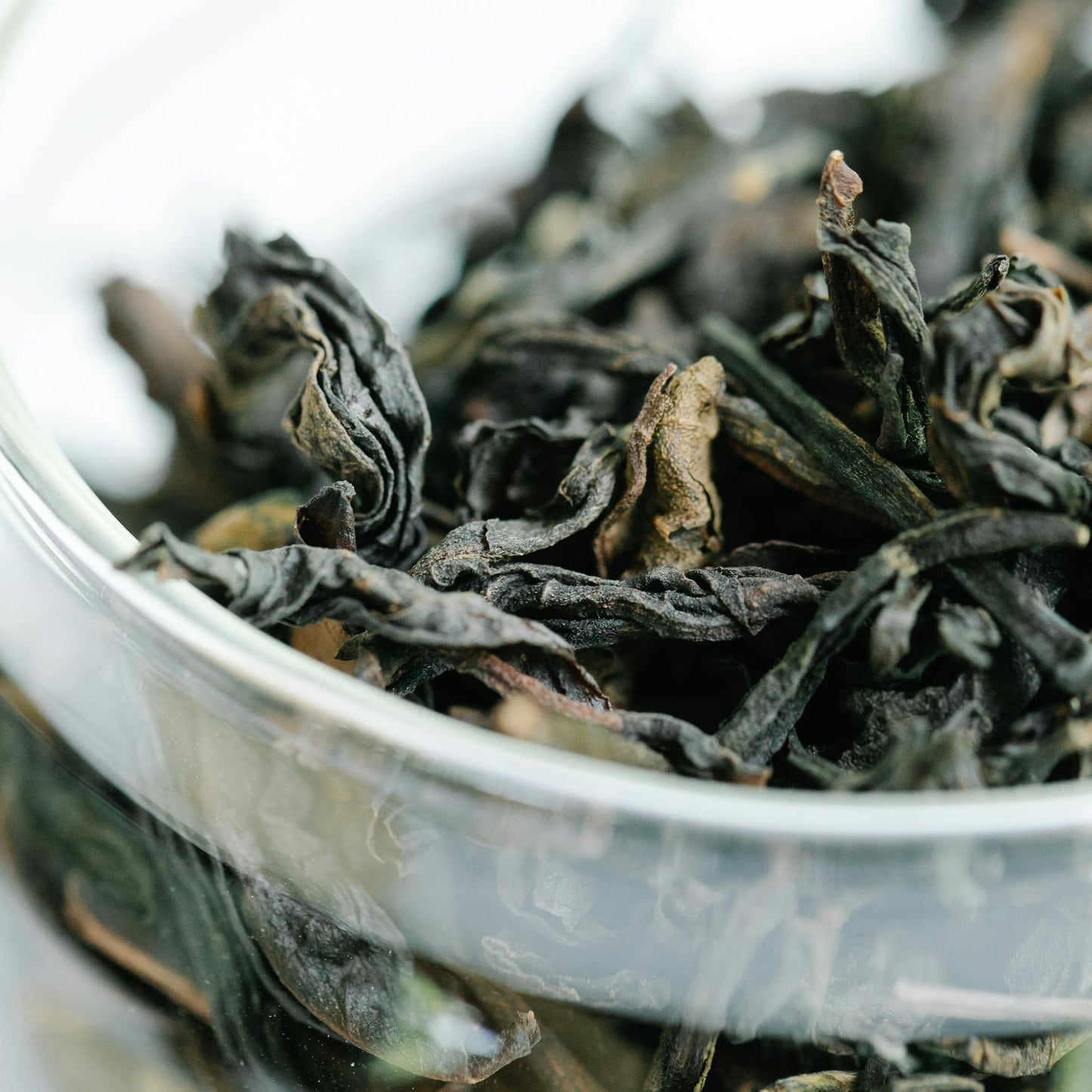 Green Tea Leaves | Organic