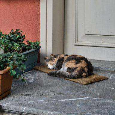 Coco Coir Doormat