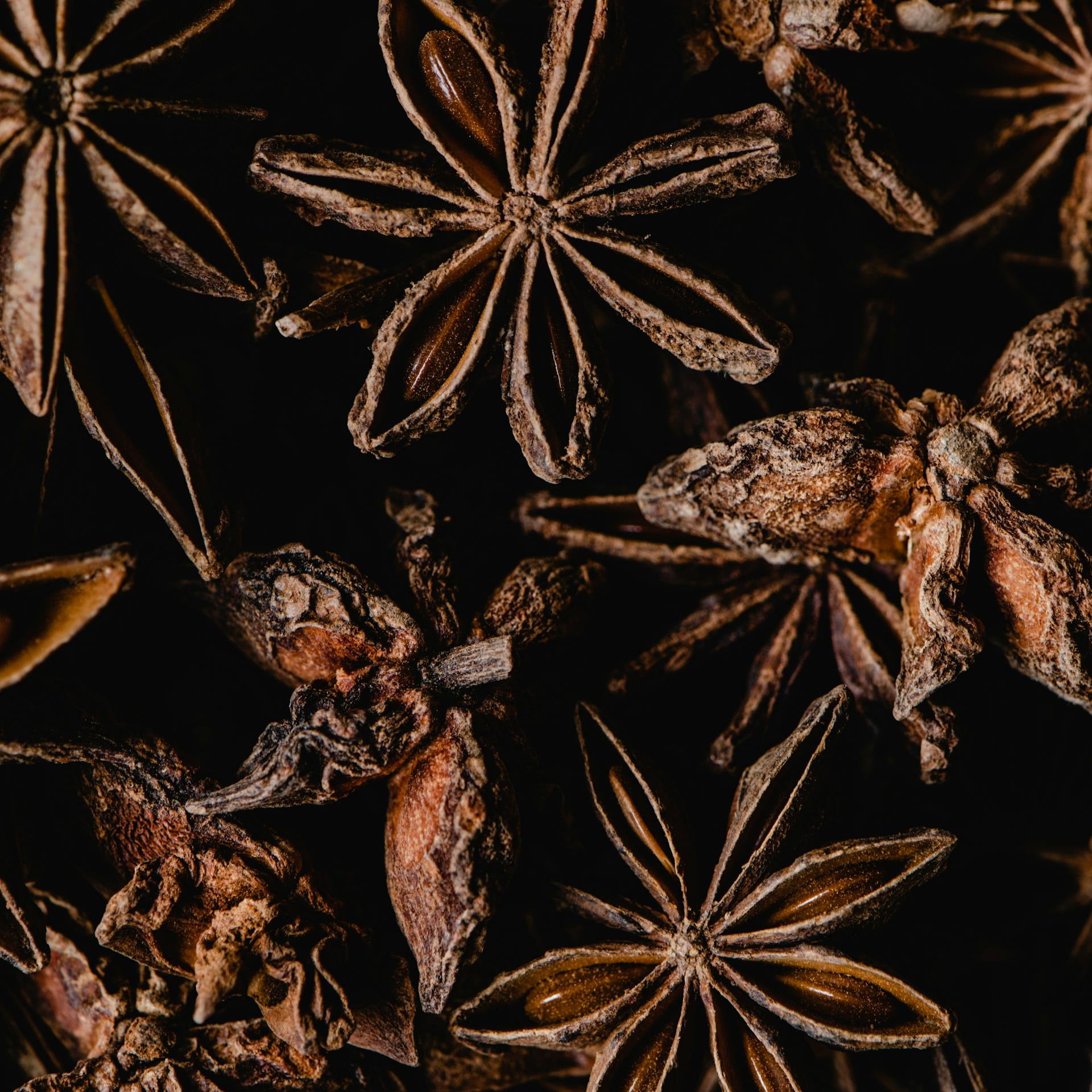 Close-up of organic bulk star anise and other spices on a dark background
