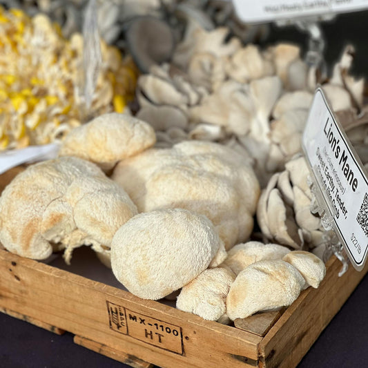 Wooden crate filled with lion's mane mushrooms at a market stall.
