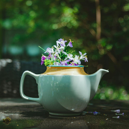 Teapot with organic skullcap plant flowers - buy bulk for herbal remedies and diy projects