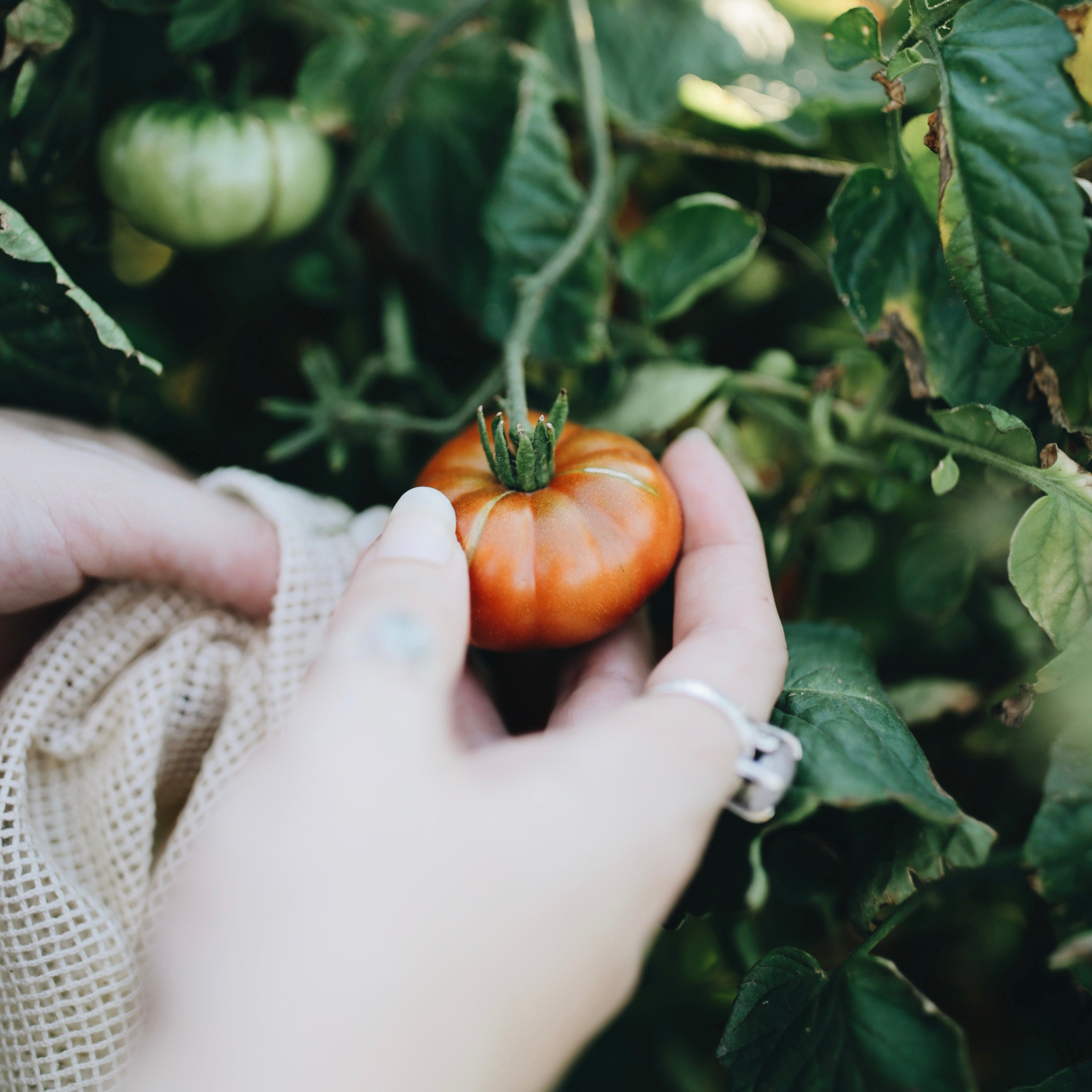 Cotton Mesh Produce Bag