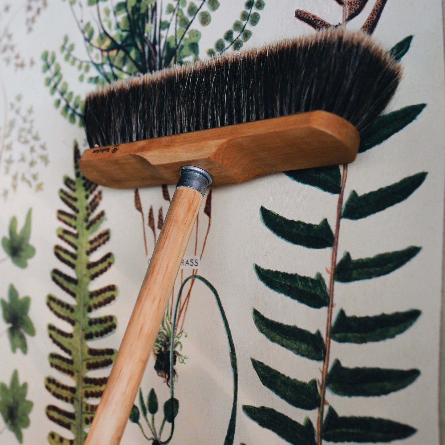 Indoor Broom & Duster