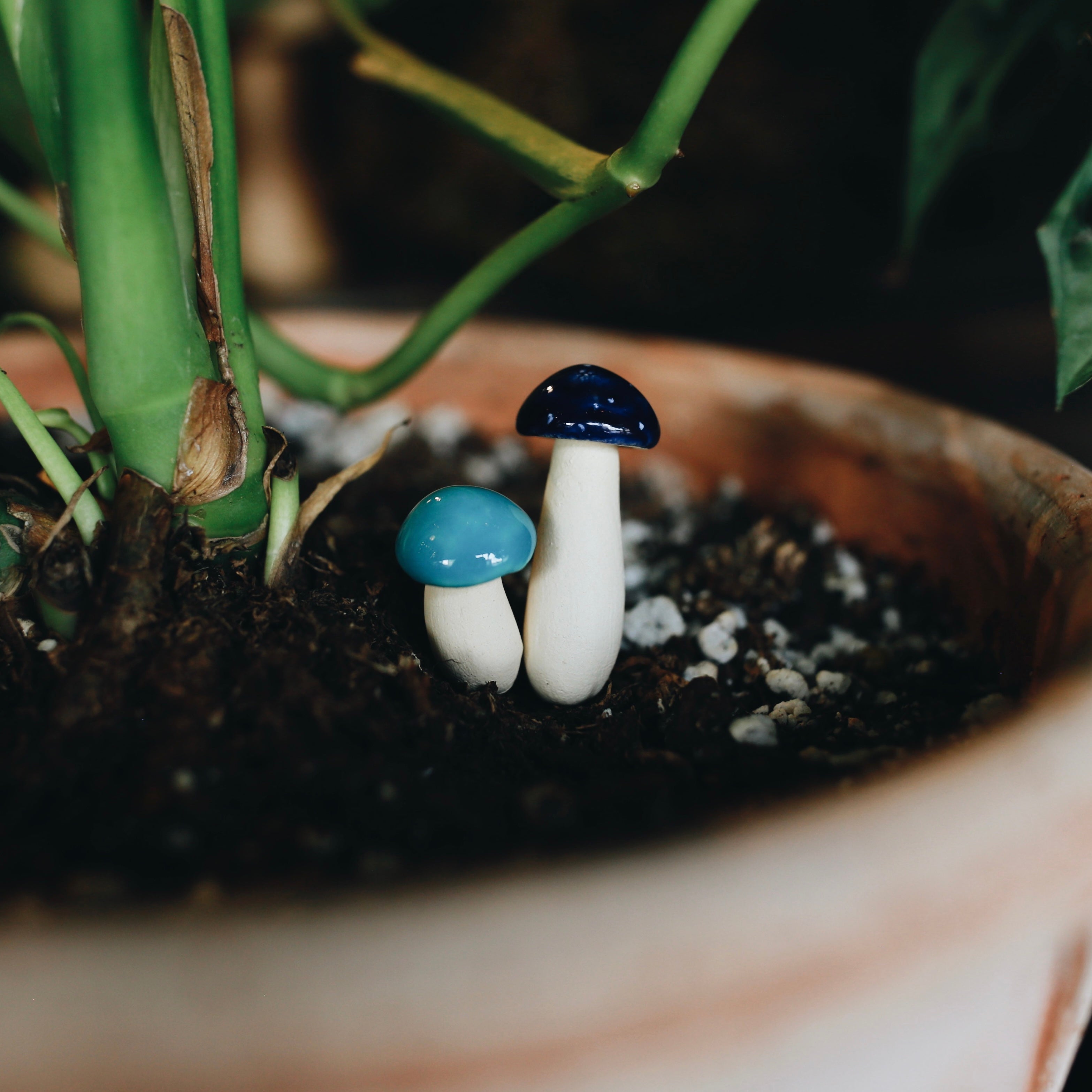 Handpicked Ceramic Mushrooms