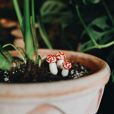 Handpicked Ceramic Mushrooms