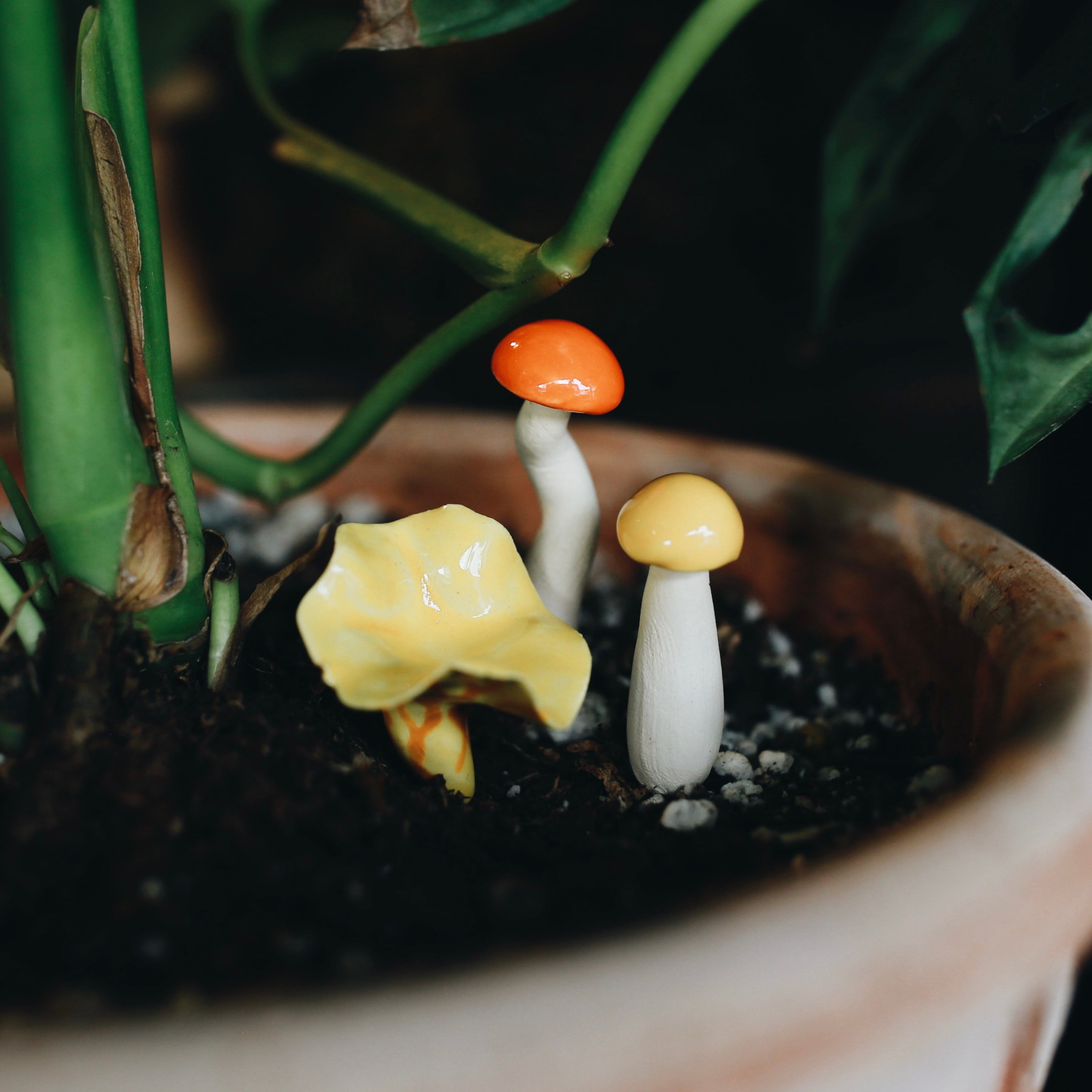 Handpicked Ceramic Mushrooms