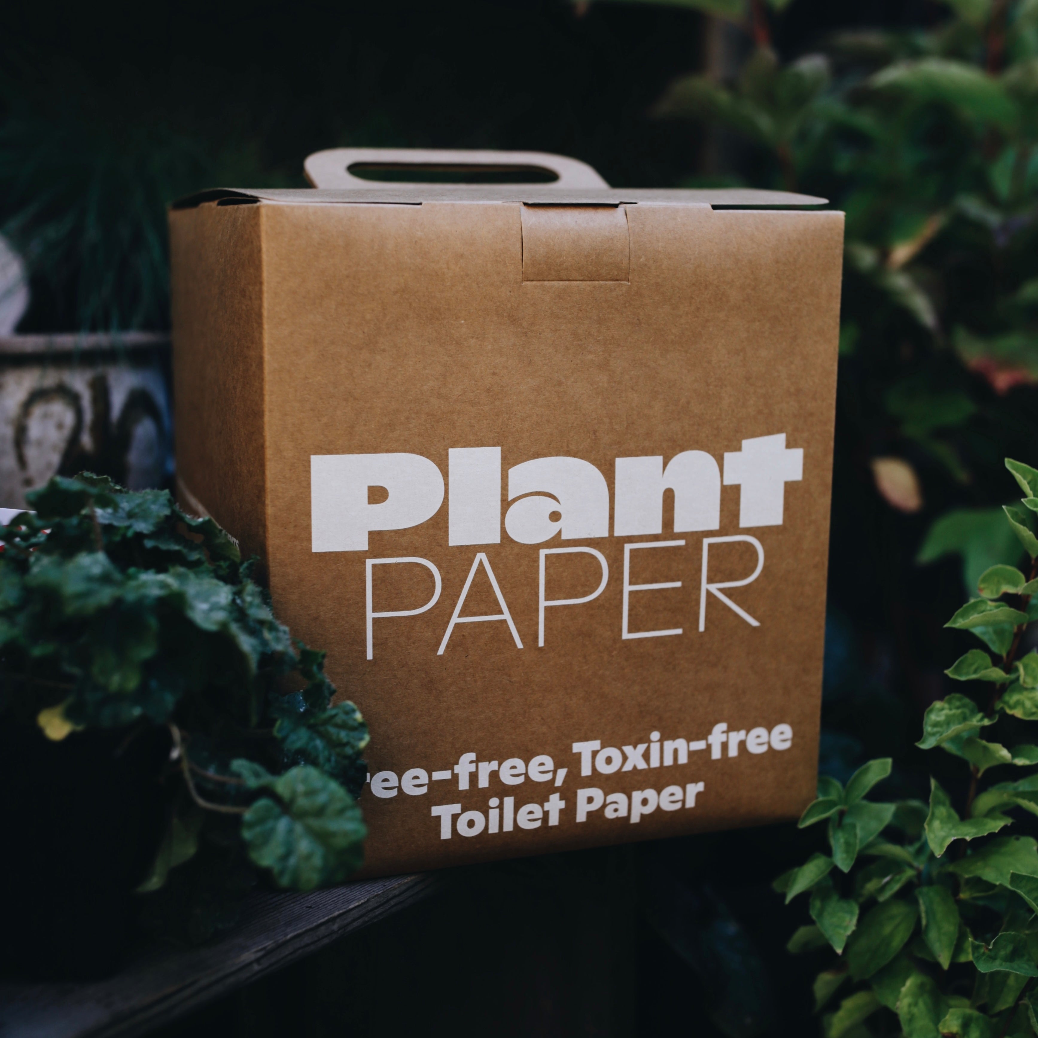 Plant Paper