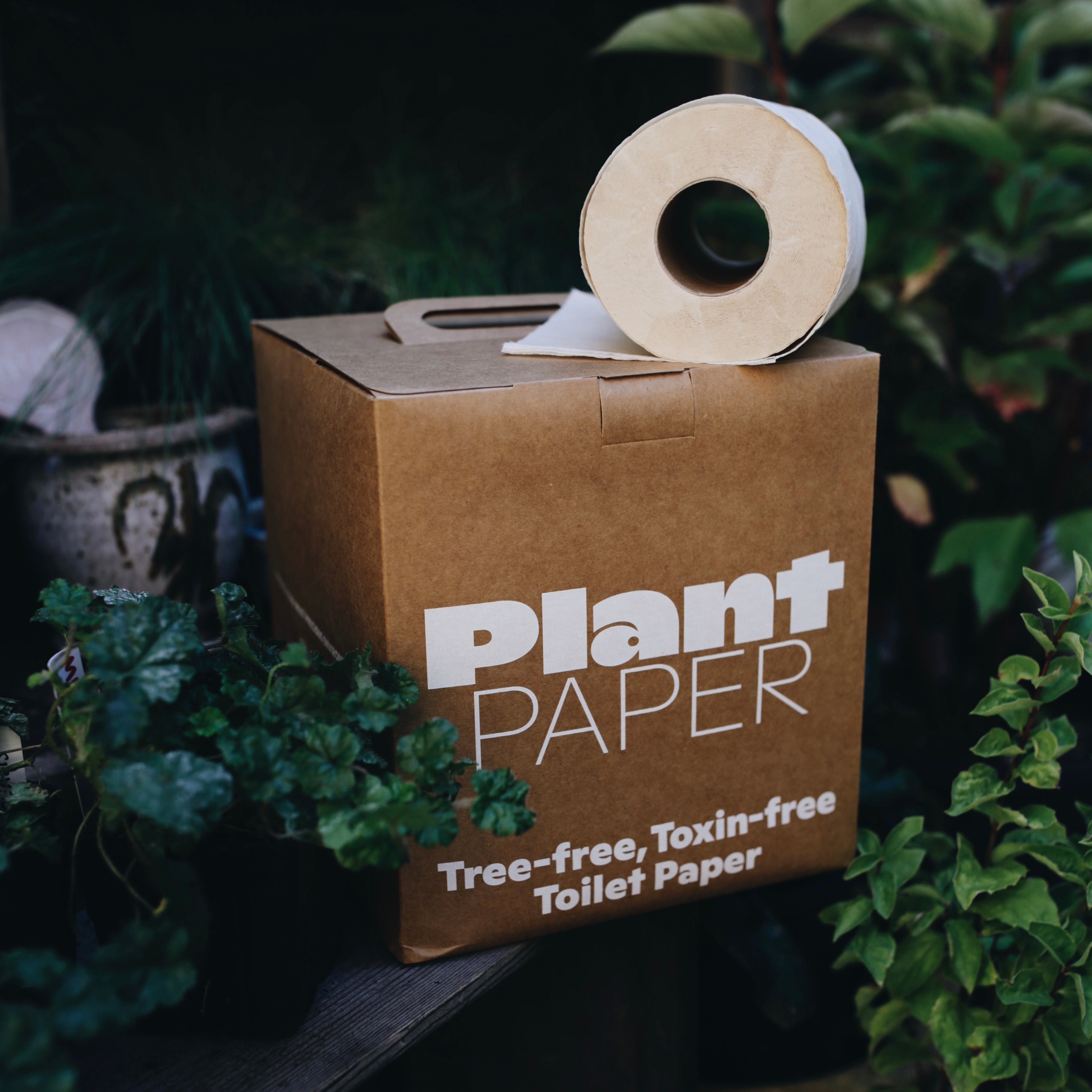 Plant Paper