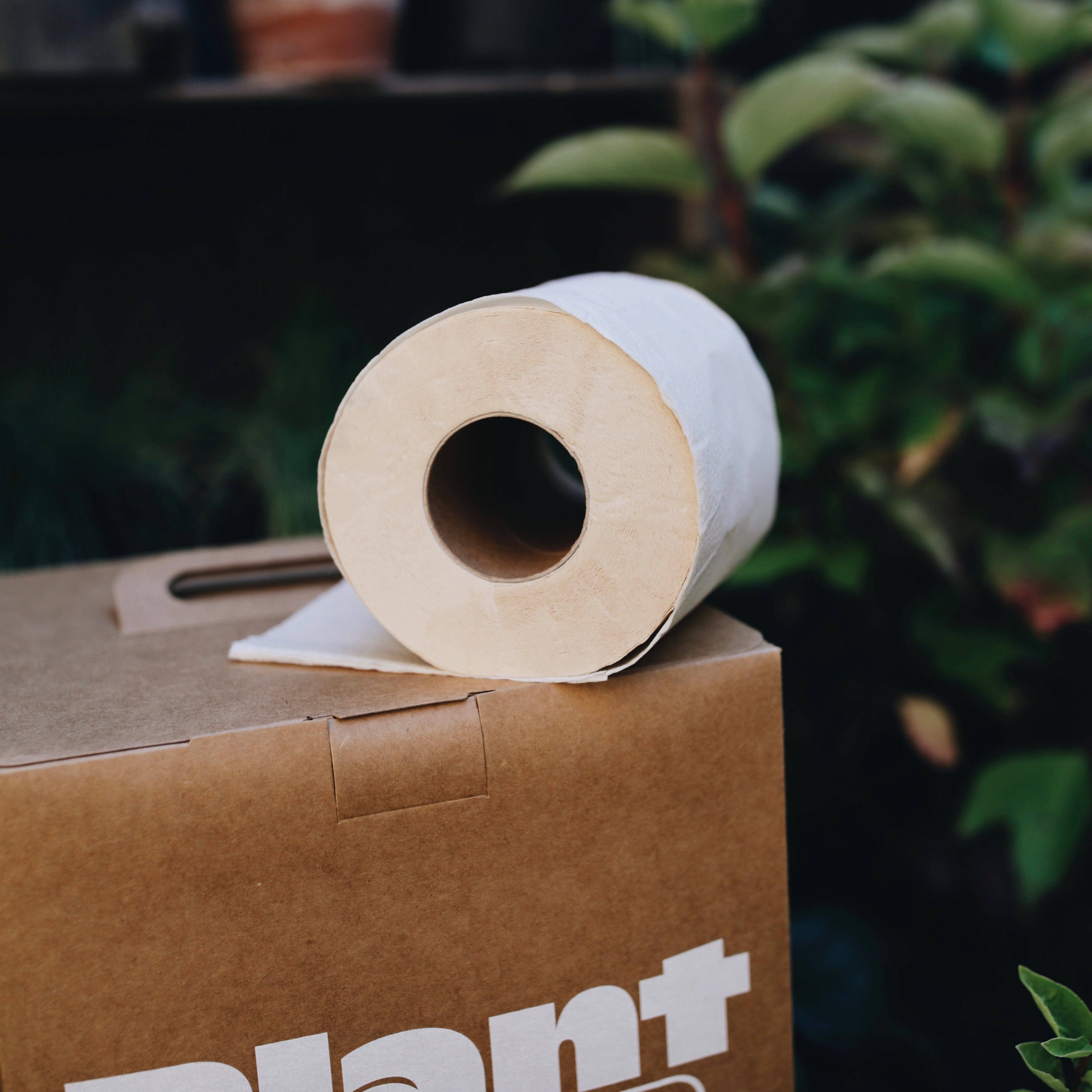 Plant Paper