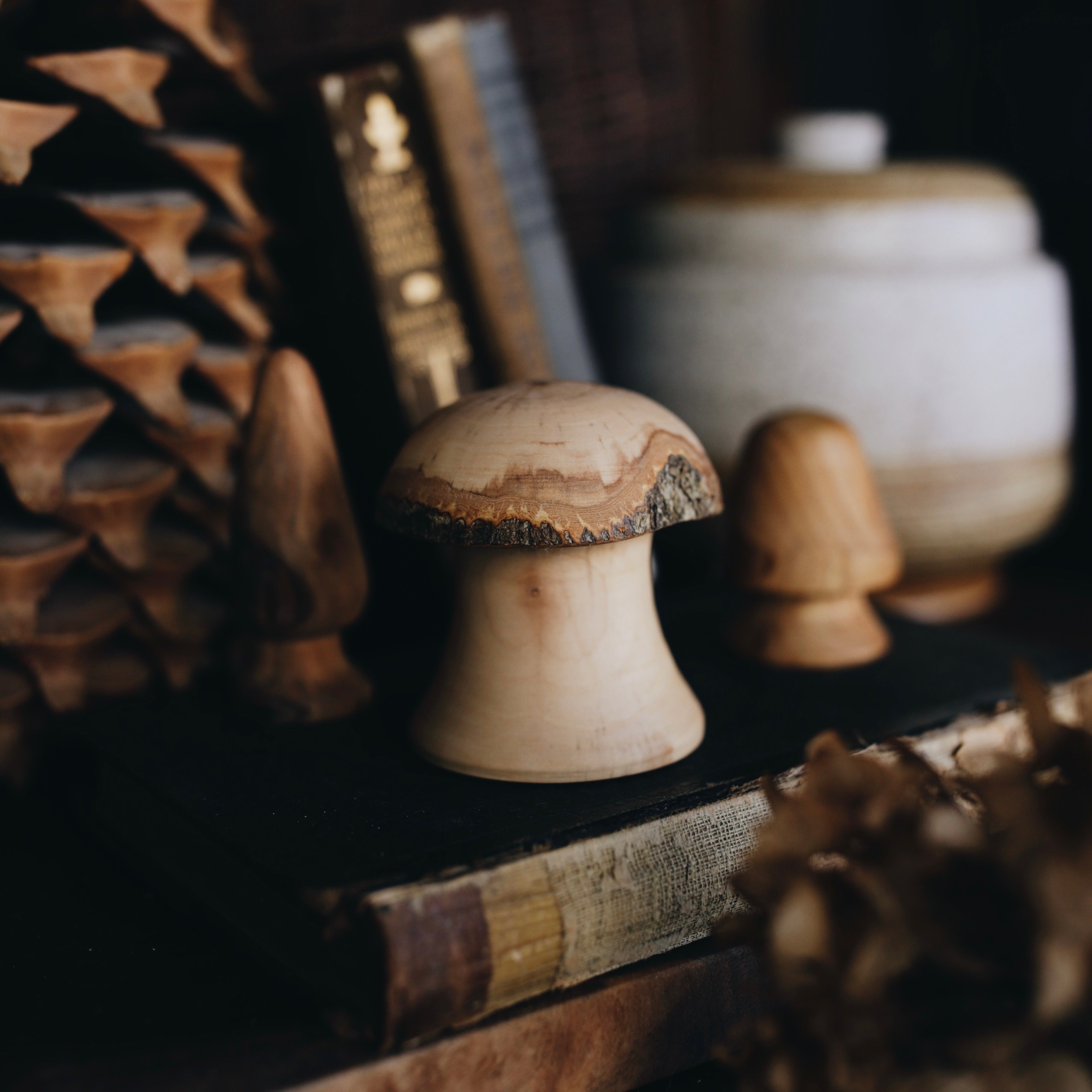 Wood Carved Treasures | mushrooms & spin tops