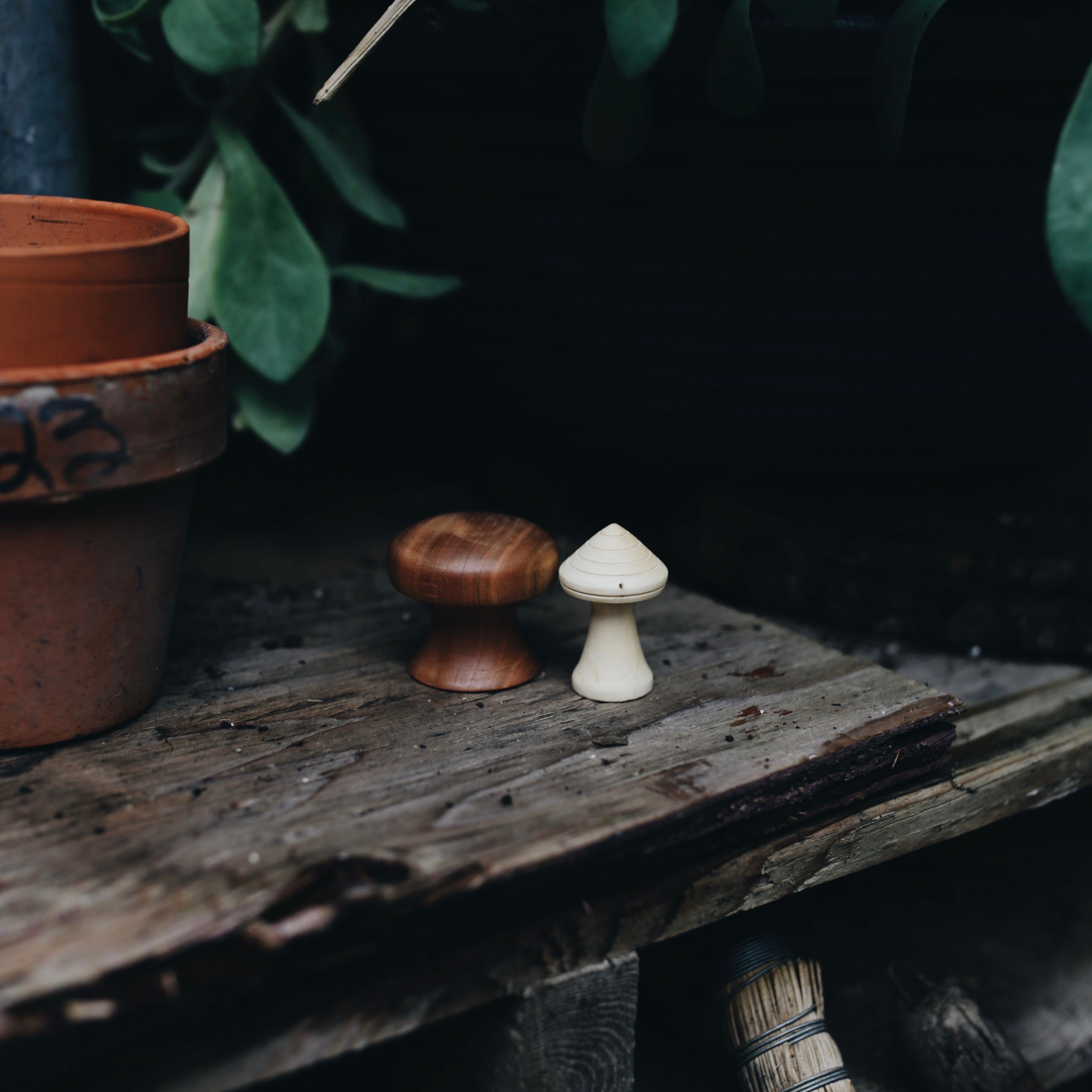 Wood Carved Treasures | mushrooms & spin tops