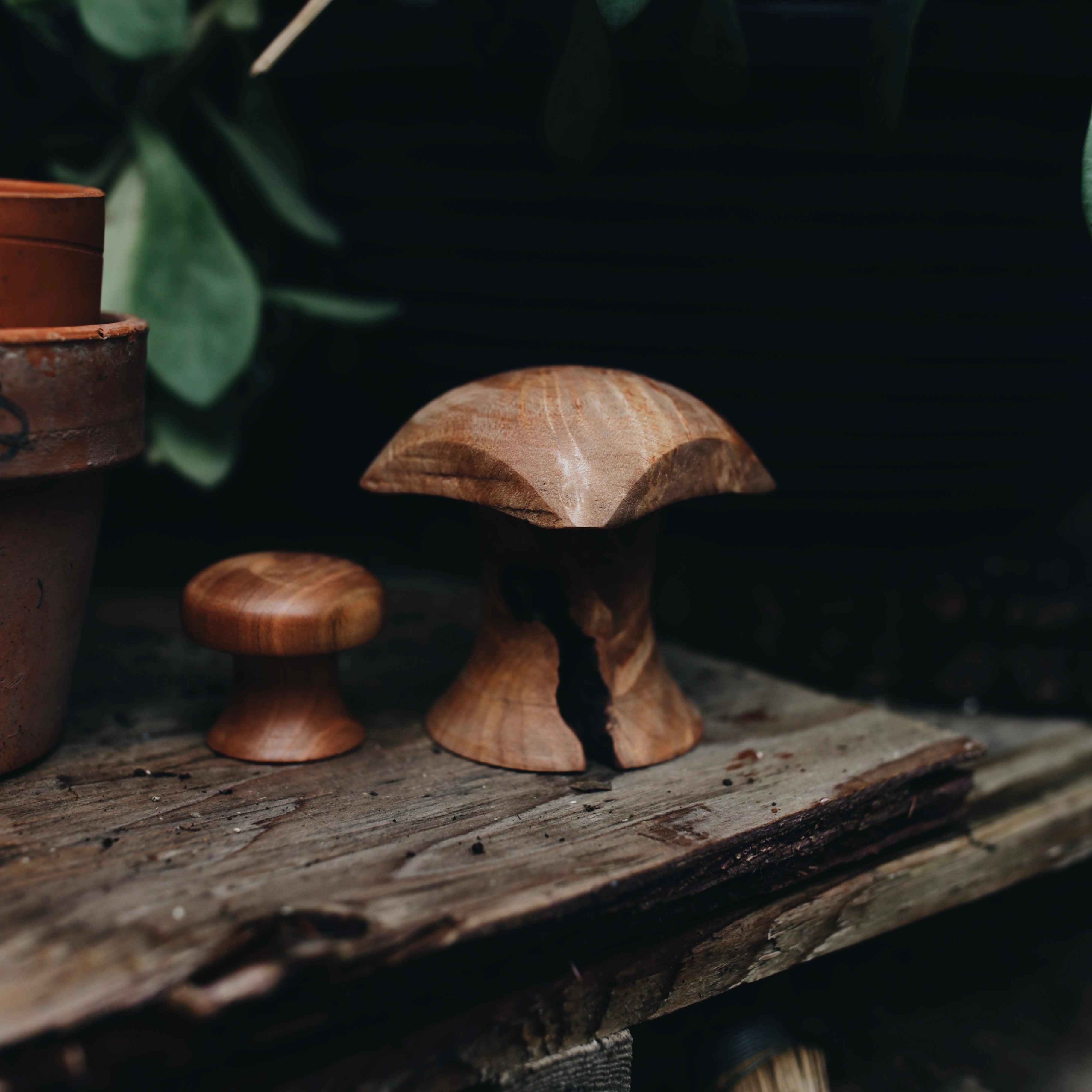 Wood Carved Treasures | mushrooms & spin tops