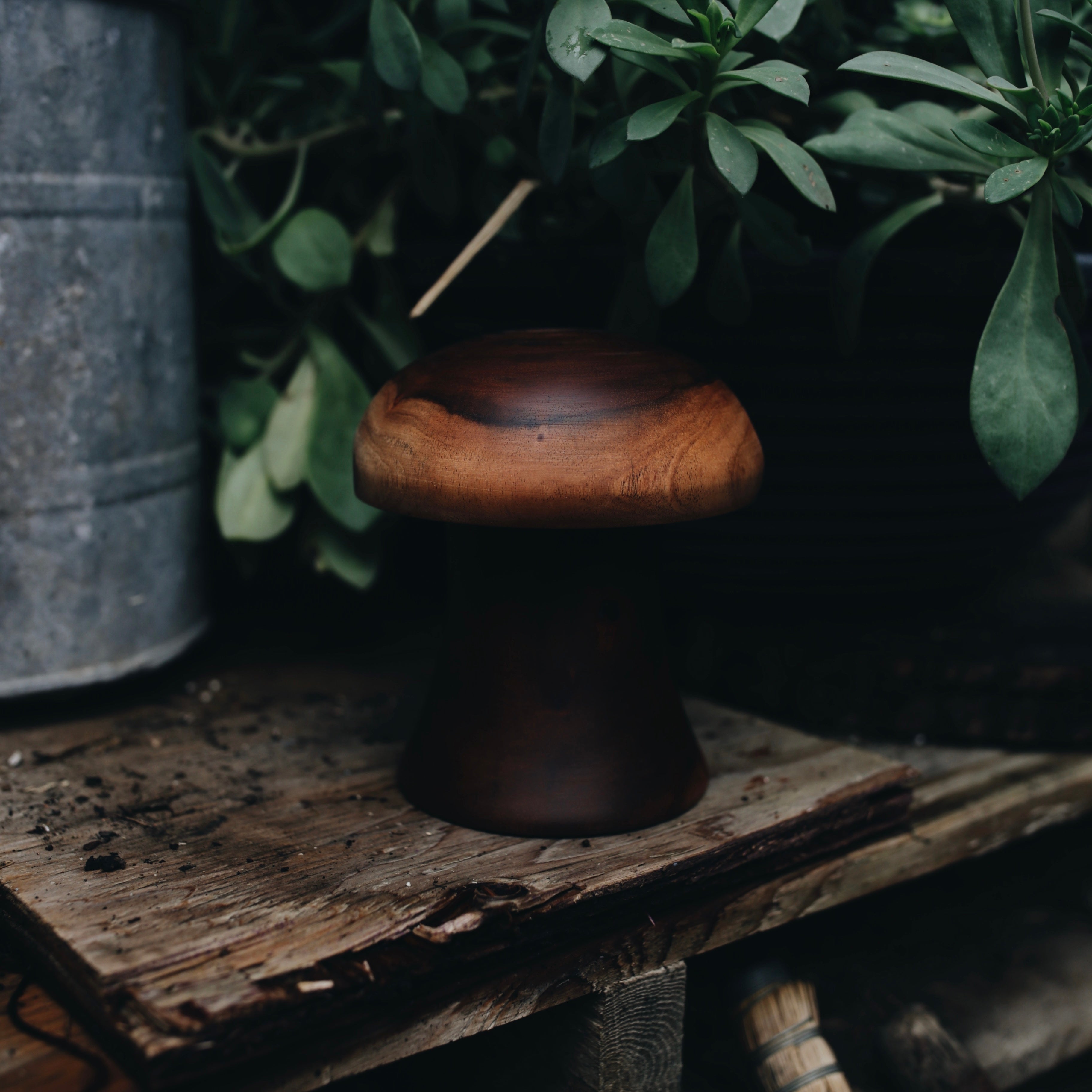 Wood Carved Treasures | mushrooms & spin tops