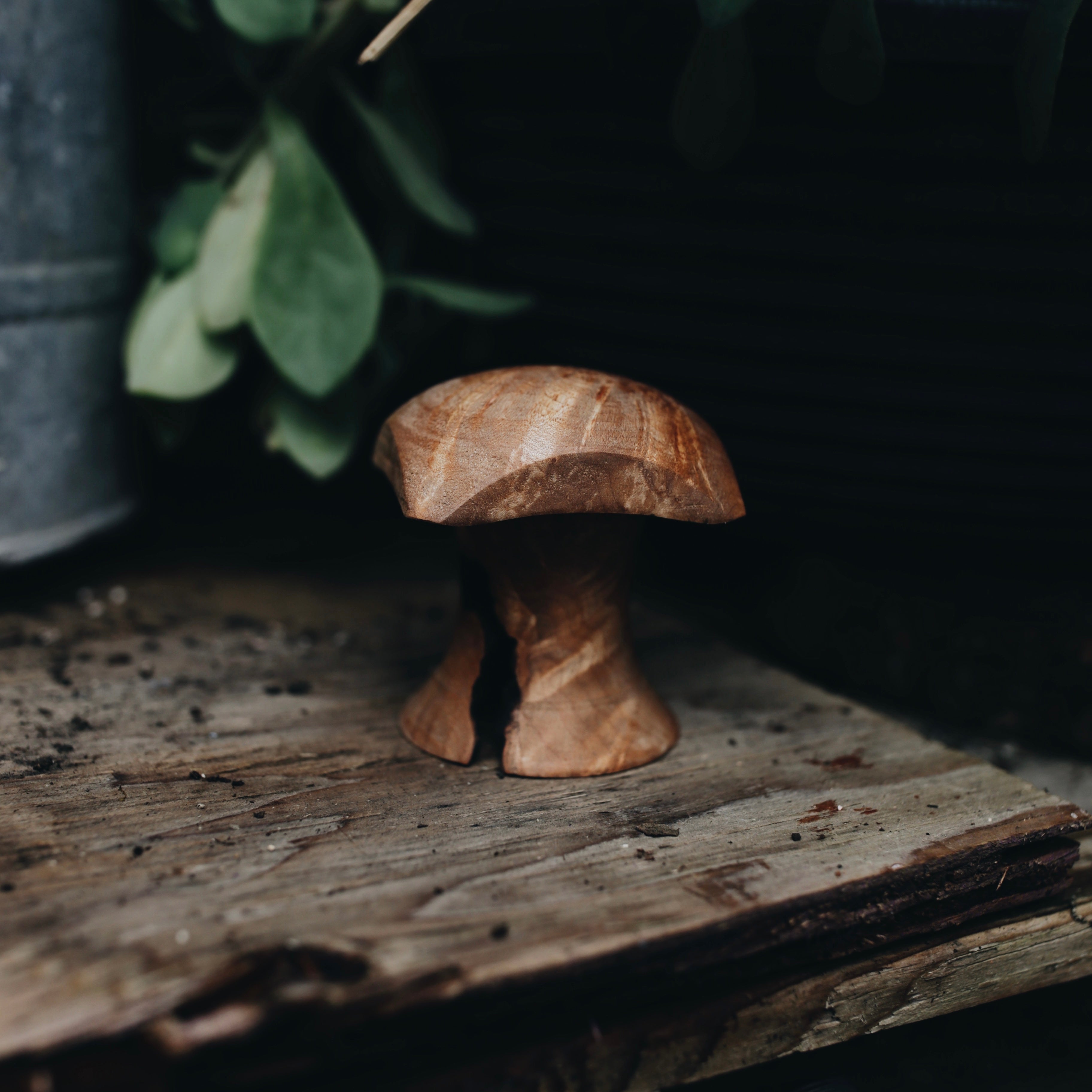 Wood Carved Treasures | mushrooms & spin tops