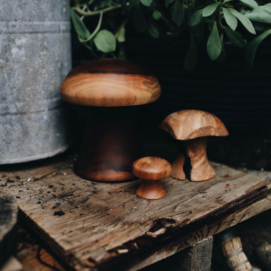 Wood Carved Treasures | mushrooms & spin tops